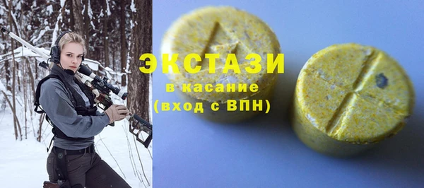 ECSTASY Богородицк